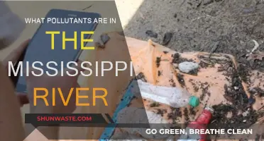 The Mississippi River: Pollutants and Their Impact