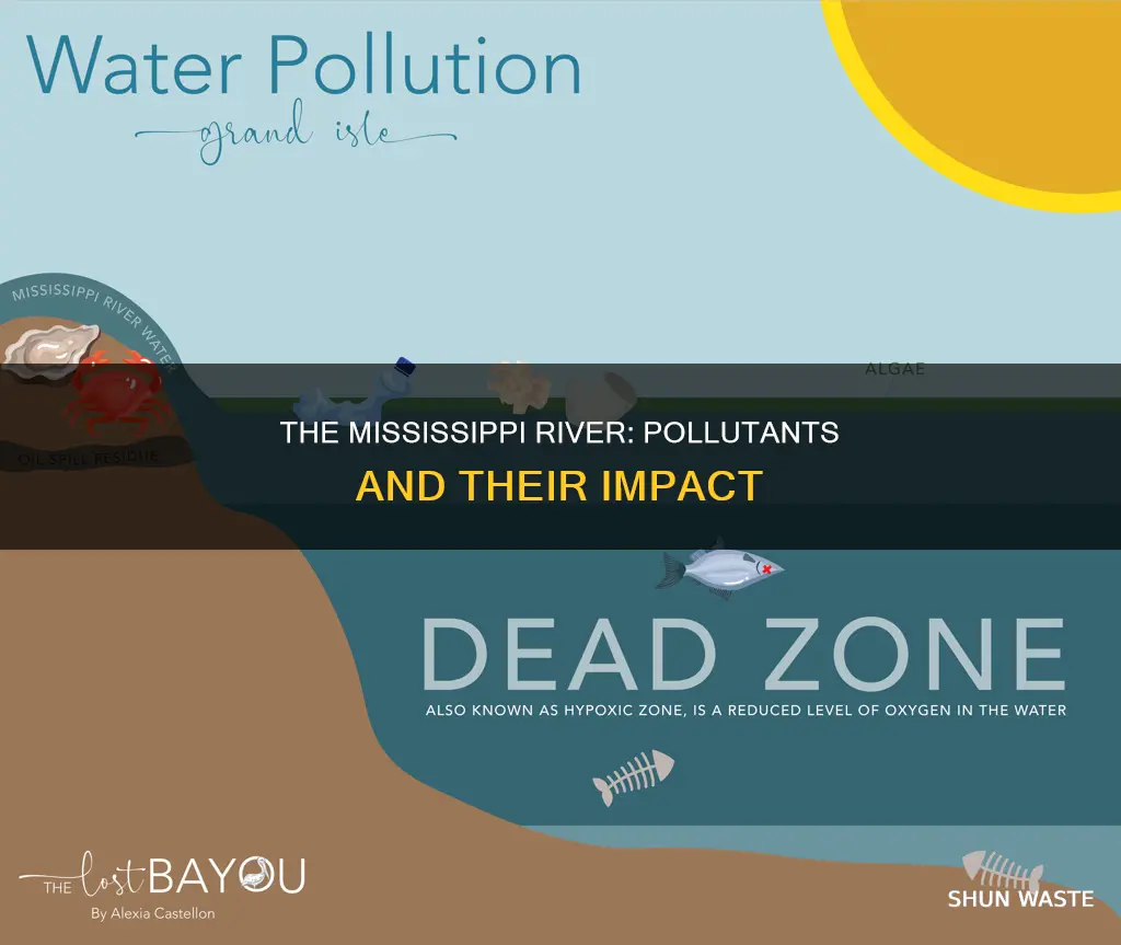 what pollutants are in the mississippi river