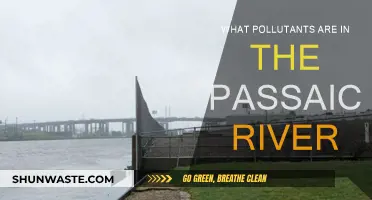 Passaic River Pollution: What's in the Water?