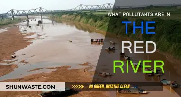 Red River Pollution: What Toxins Are Present?