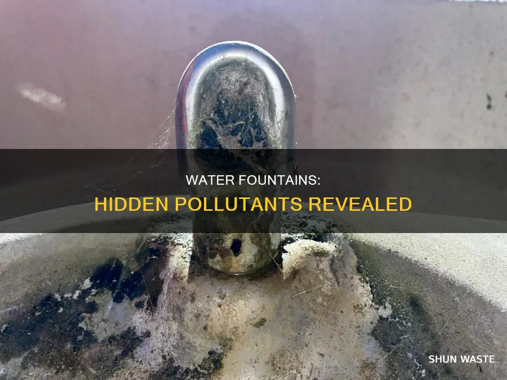 what pollutants are in water fountains