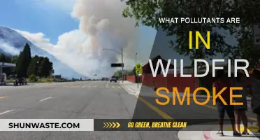 Wildfire Smoke: Understanding the Complex Mix of Pollutants