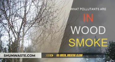Wood Smoke: What Pollutants Are Lurking?