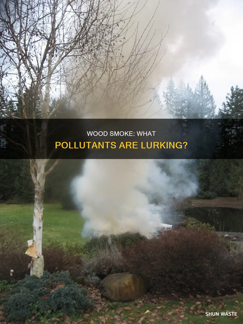 what pollutants are in wood smoke
