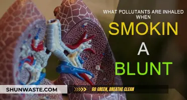 Blunt Smoking: Inhaling Toxic Pollutants and Their Effects