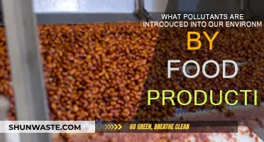 Food Production's Environmental Impact: Pollutants and Their Effects