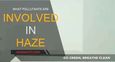 Haze and Its Pollutants: Understanding the Complex Mix