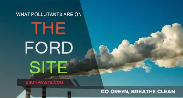 Ford Site Pollutants: What's the Damage?