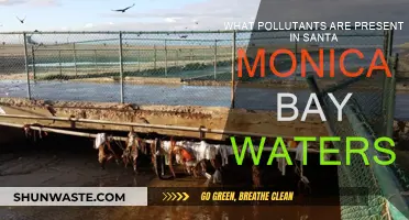 Santa Monica Bay: Pollutants and Their Sources