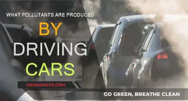 Cars' Polluting Secrets: What's Really Coming Out of Your Exhaust?
