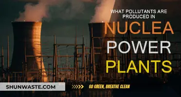 Nuclear Power Plants: What Pollutants Are Produced?