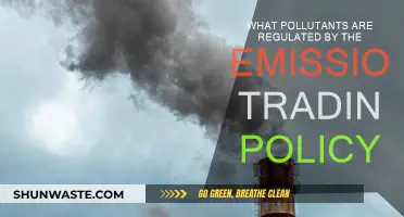 Emissions Trading: Pollutants Under the Regulatory Scope