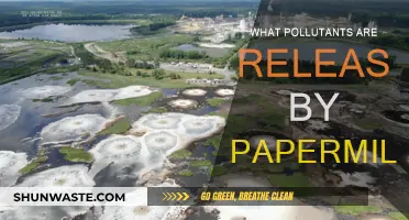 Paper Mills: Understanding Their Environmental Impact