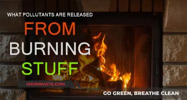 Burning's Dark Side: Pollutants Released from Flames