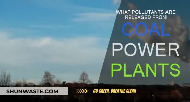 Coal Power Plants: Pollutants and Their Impact