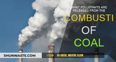 Coal Combustion: Understanding the Pollutants Released