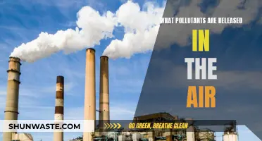 Air Pollutants: What's in the Air We Breathe?
