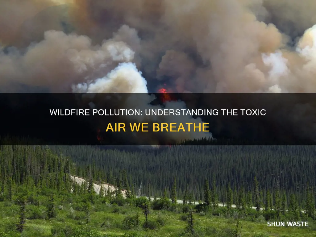 what pollutants are released with a wildfire