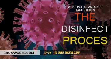 Disinfection: Targeting Harmful Pollutants for Safe Water