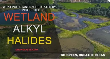 Constructed Wetlands: Treating Alkyl Halides and More