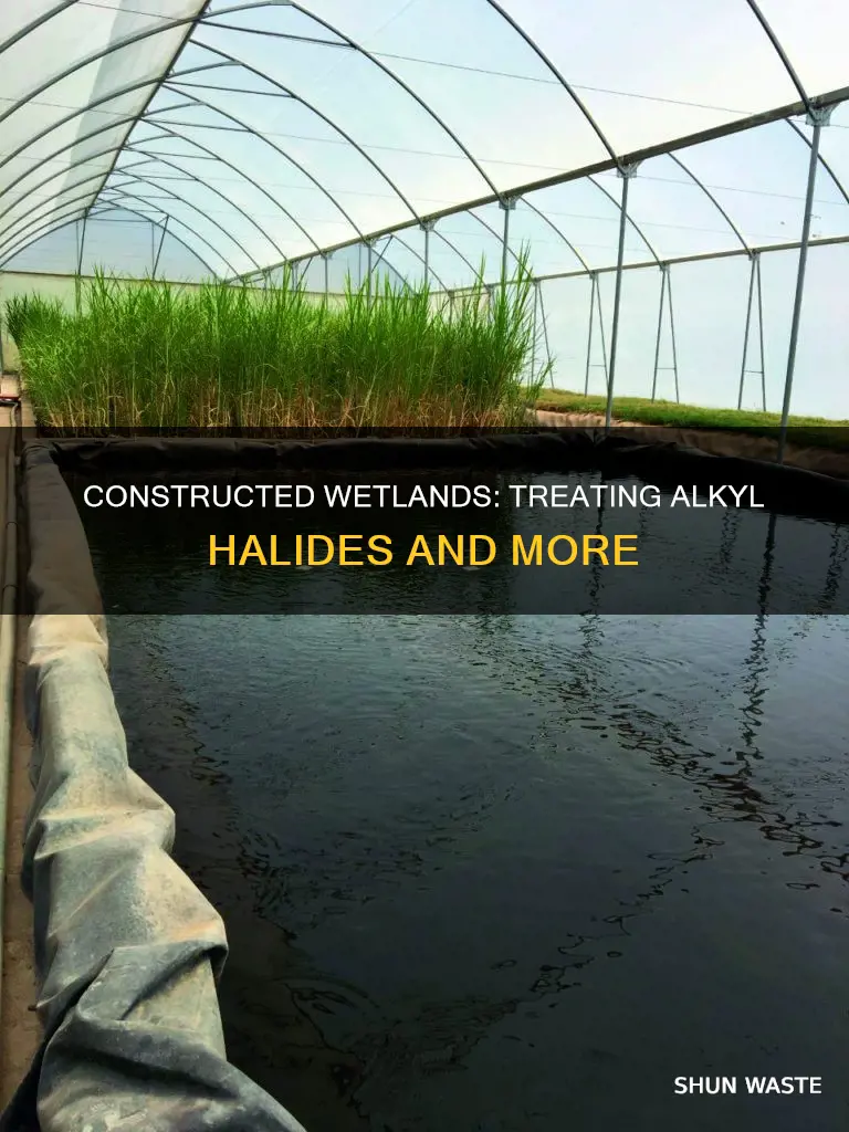what pollutants are treated by constructed wetlands alkyl halides
