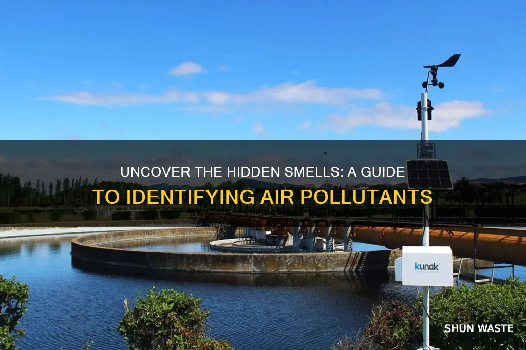 what pollutants can be recognized by odor