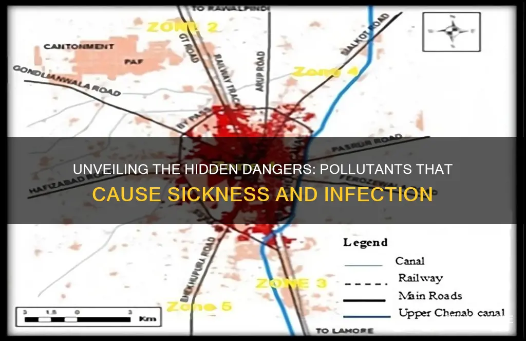 what pollutants can cause sickness and infection