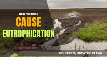 Unveiling the Hidden Causes of Eutrophication: A Comprehensive Guide