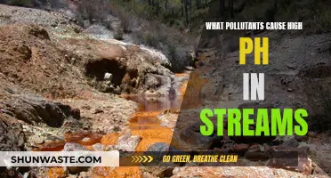 Unveiling the Hidden Pollutants: Why Streams Turn Alkaline