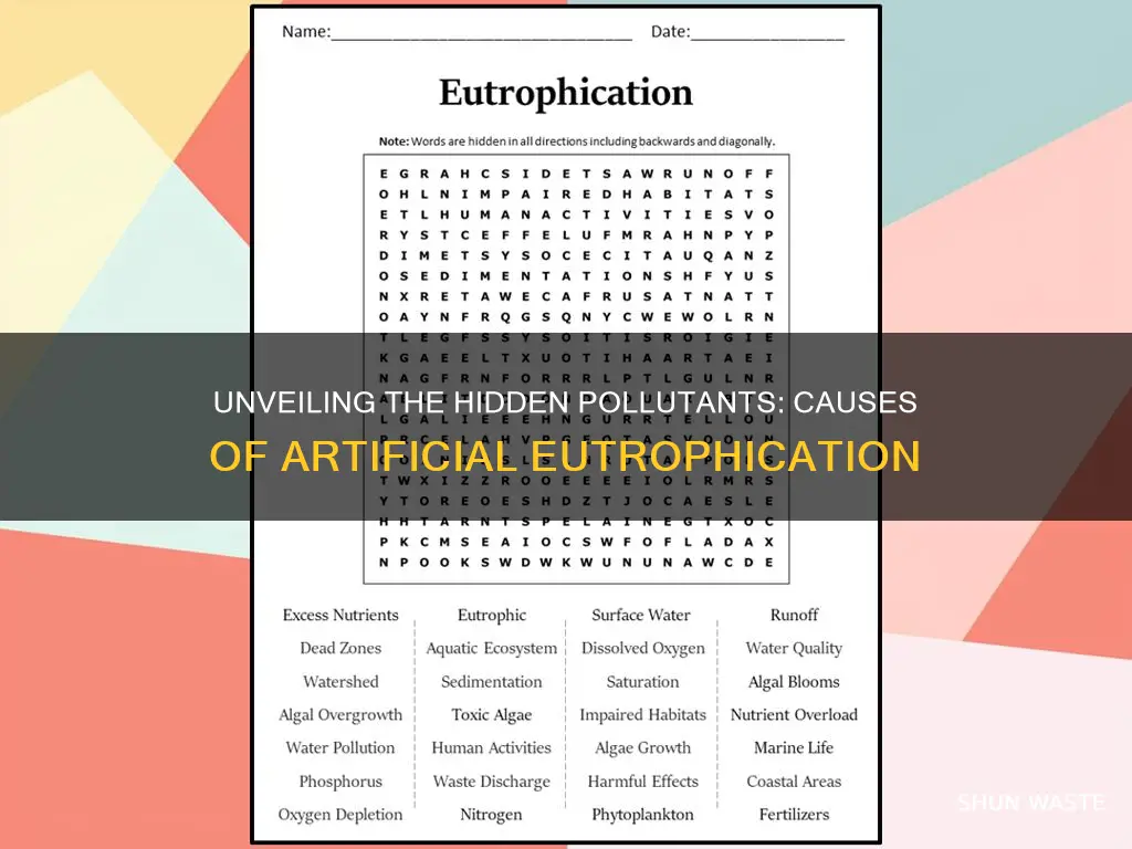 what pollutants causes artificial eutrophication