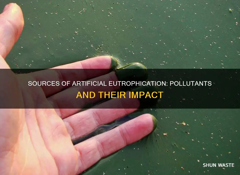 what pollutants causes artificial eutrophication