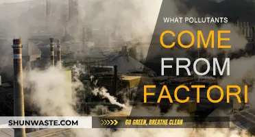 Industrial Emissions: Understanding Factory Pollutants