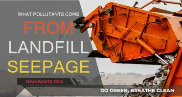 Landfill Seepage: Understanding the Toxic Pollutants Harming Our Planet