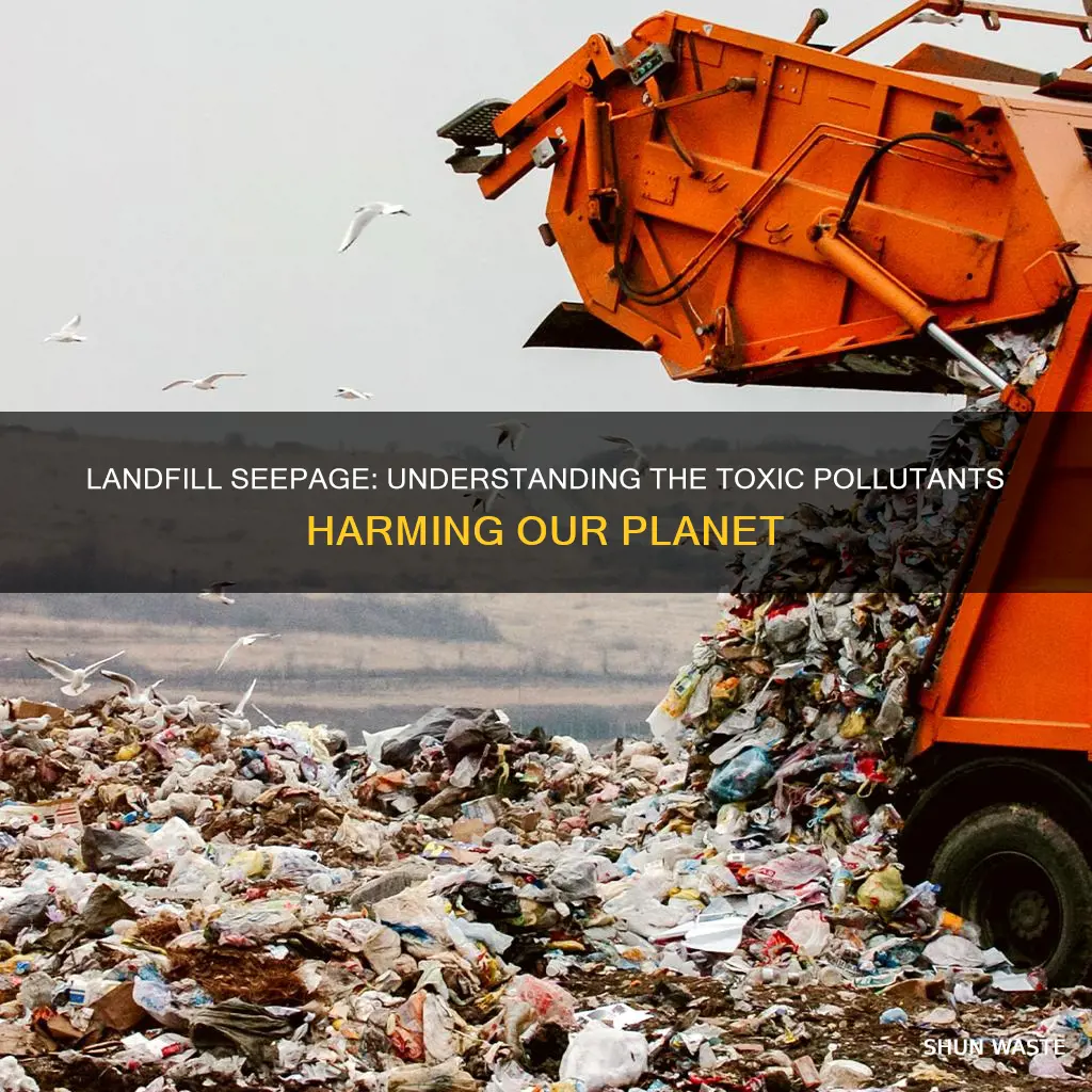 what pollutants come from landfill seepage