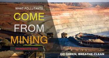 Mining's Dark Side: Pollutants and Their Impact