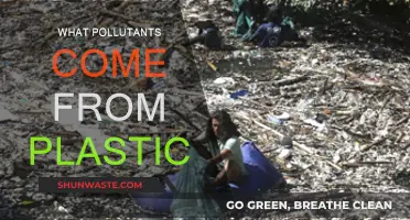 Plastic Pollution: Understanding the Toxic Threat