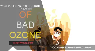 Air Pollutants: Creating Harmful Ozone Layers