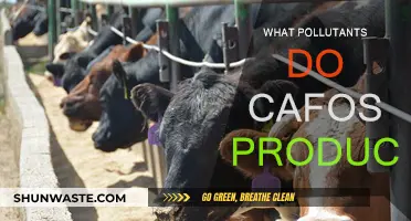 CAFO Pollution: What's the Harm?