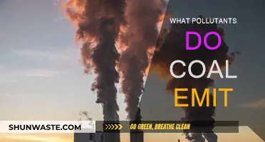 Coal Emissions: A Complex Mix of Pollutants