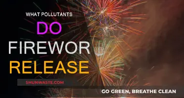 Fireworks: Fun Displays, Toxic Emissions