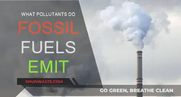 Fossil Fuels: Emitting Pollutants, Harming Our Planet