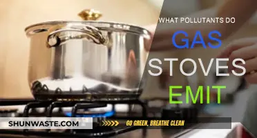 Gas Stoves: What Pollutants Are We Inhaling at Home?