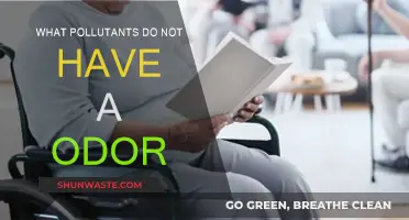 Invisible Odourless Pollutants: What's Hiding in Your Home?