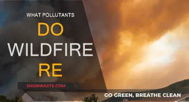 Wildfires: The Unseen Pollutants and Their Impact