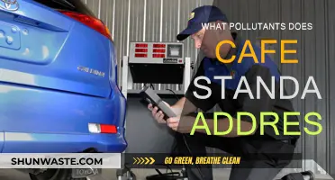 How Do Cafe Standards Reduce Air Pollutants?