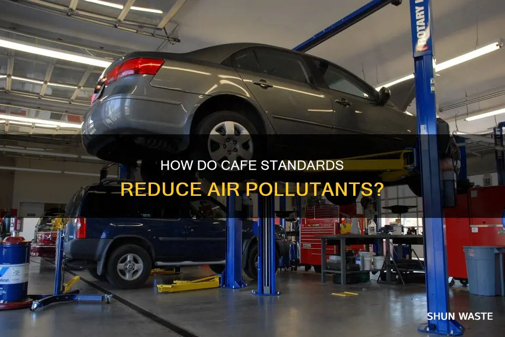 what pollutants does cafe standards address