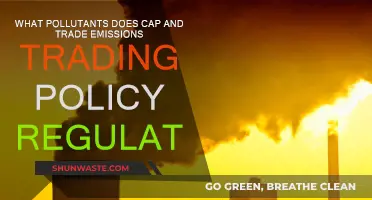 Cap and Trade: Regulating Pollutants and Emissions
