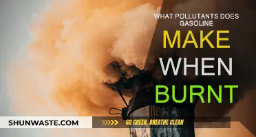 Gasoline's Burning Question: What Pollutants Are We Inhaling?