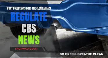 Clean Air Act: Regulating Pollutants for Better Health