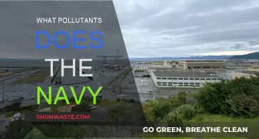 Navy's Pollutant Discharge: What's in the Water?